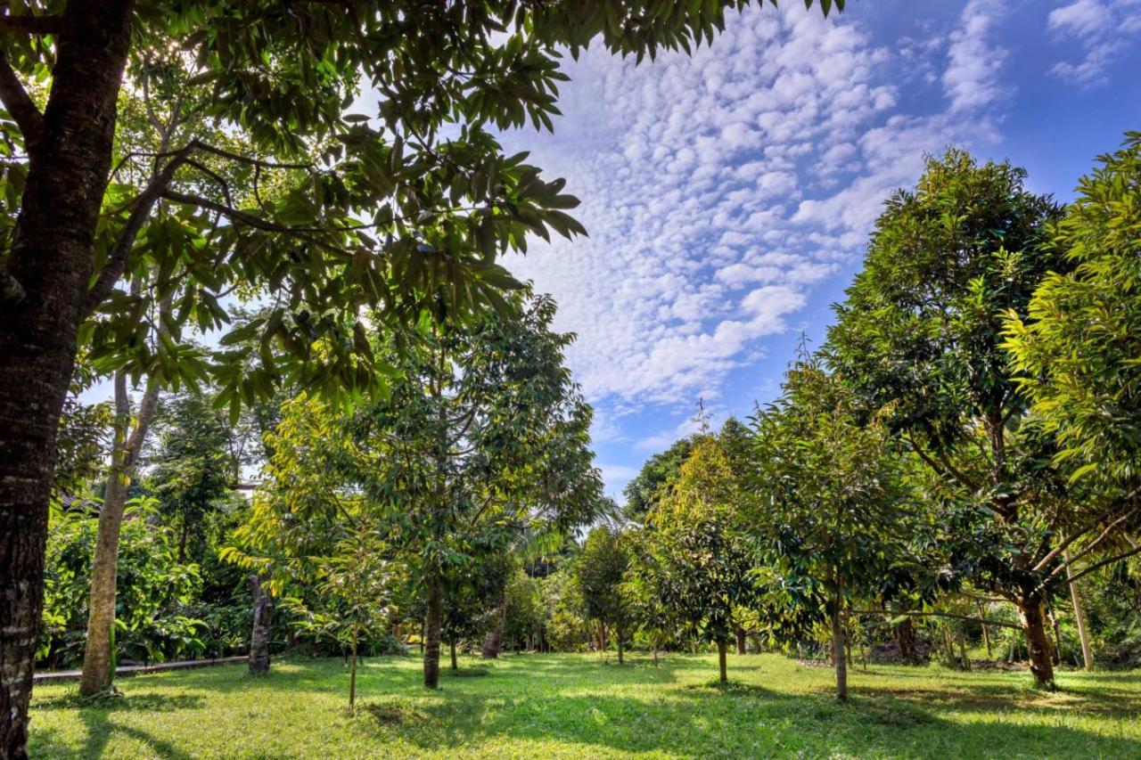 Курортный комплекс Bang Po Garden