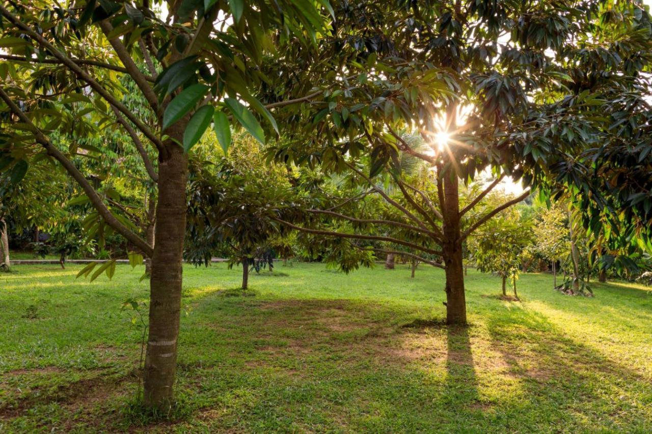 Bang Po Garden Tempat peranginan Ban Bang Po